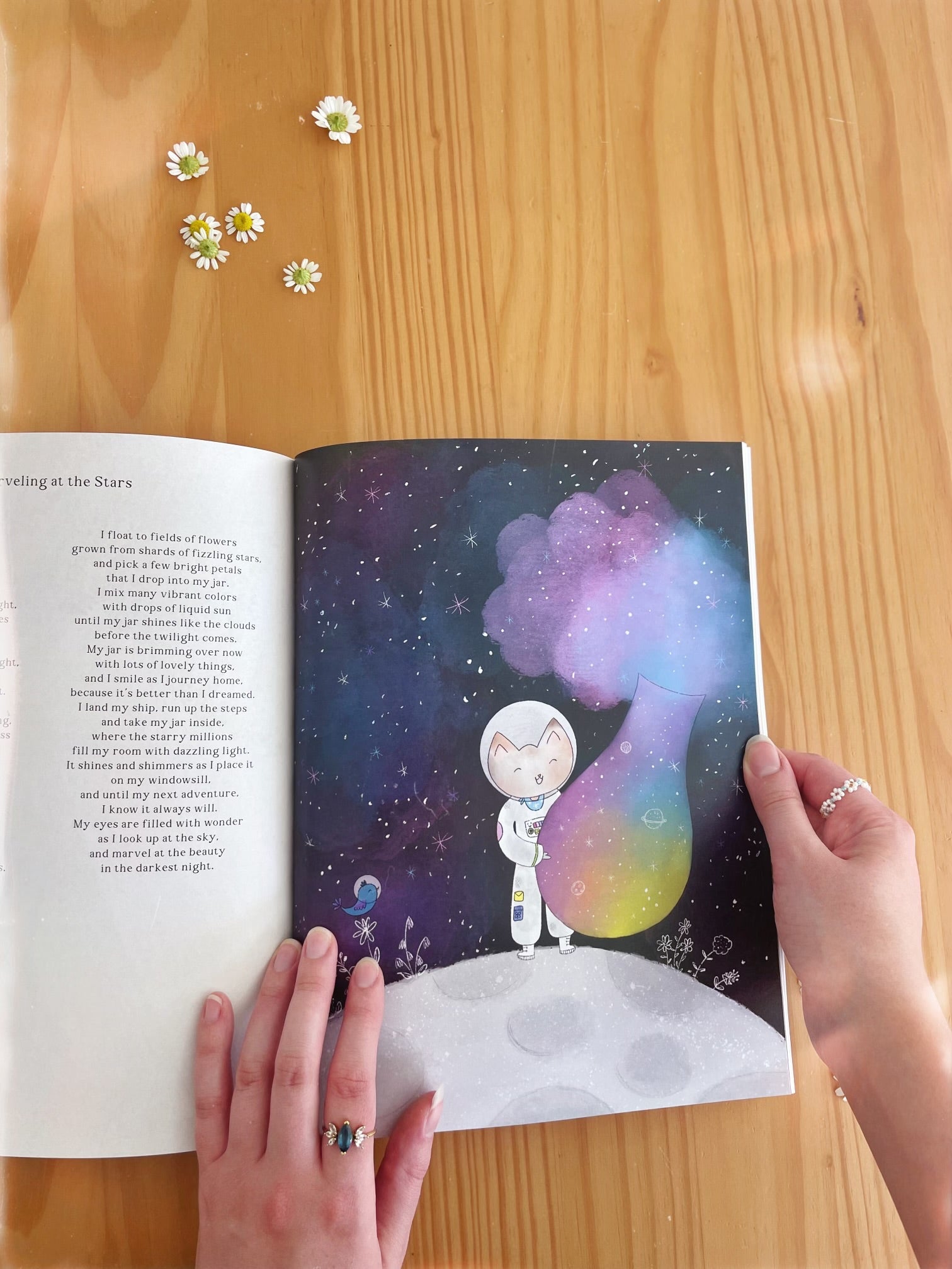 Discovering The Garden Softcover