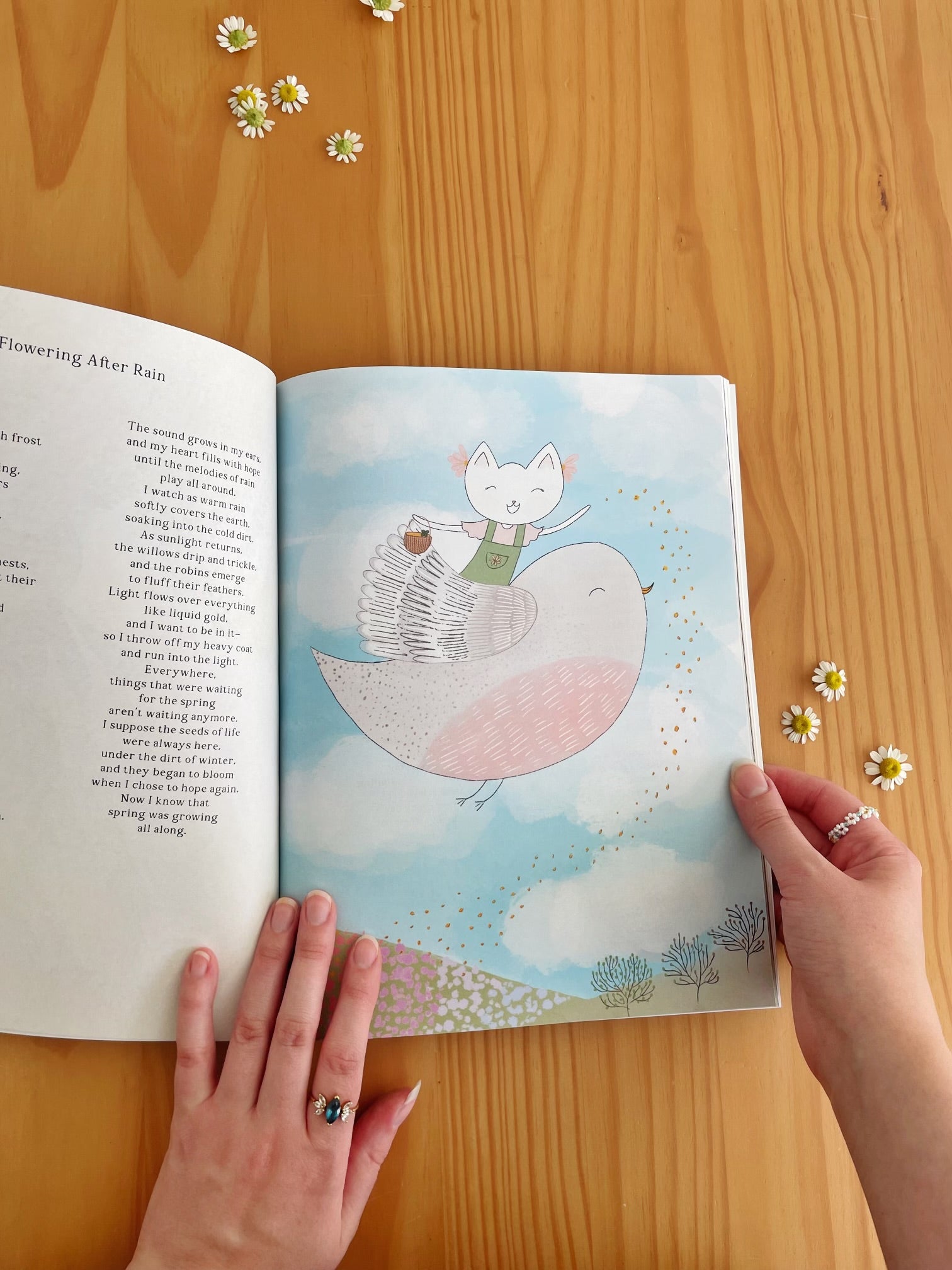 Discovering The Garden Softcover